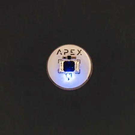 Apex Flex (6)