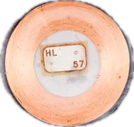dT5 T5577 (1)