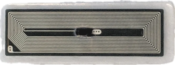 flexNT (1)