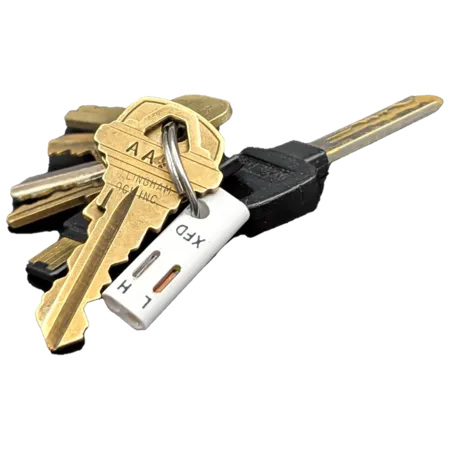 Combination field detector keychain on a keyring with house and car keys