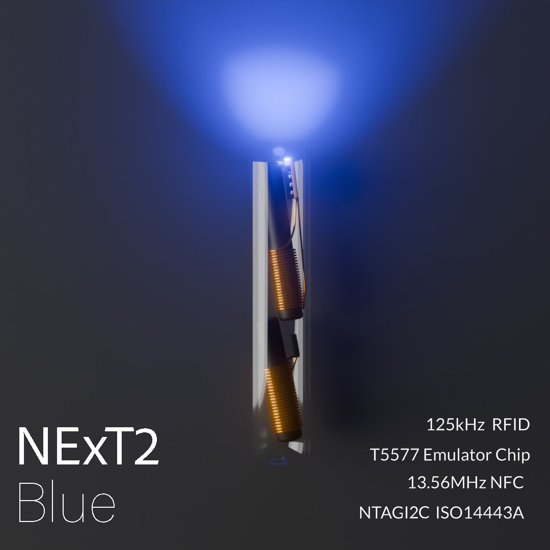 DT NExT v2